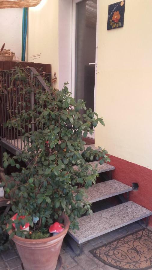 B&B La Sciguetta Magenta Kültér fotó